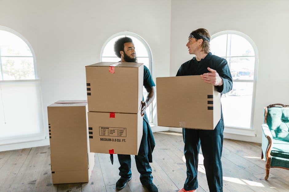 Two professional removalists from Man With a Van Bow are inside a spacious, well-lit room with white walls, engaged in the home relocation process. The room features large, arched windows allowing natural daylight to illuminate the space, which has a wooden floor. The first removalist, with curly hair and a beard, is holding two medium-sized cardboard boxes, one stacked on top of the other, with black tape and printed labels indicating their size and contents. The second removalist, wearing a headband and dressed in dark clothing, is carrying a single cardboard box and appears to be in conversation, possibly discussing the packing or loading process. In the background, a smaller cardboard box is placed on the floor near the wall, and part of a vintage-style upholstered chair with wooden armrests can be seen on the right side. The scene depicts a typical furniture transport and packing and moving activity, with the staff preparing items for safe transport during a house removal or local move, aligning with the guide on Roman Road moving tips and logistics in Bow.